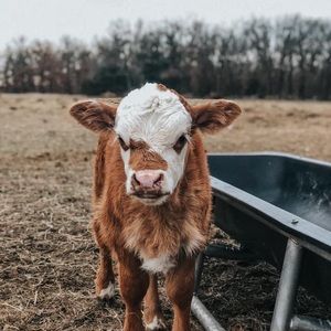 Meet your Posher, Kylee